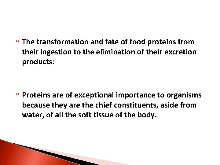  The transformation and fate of food proteins from their ingestion to the elimination