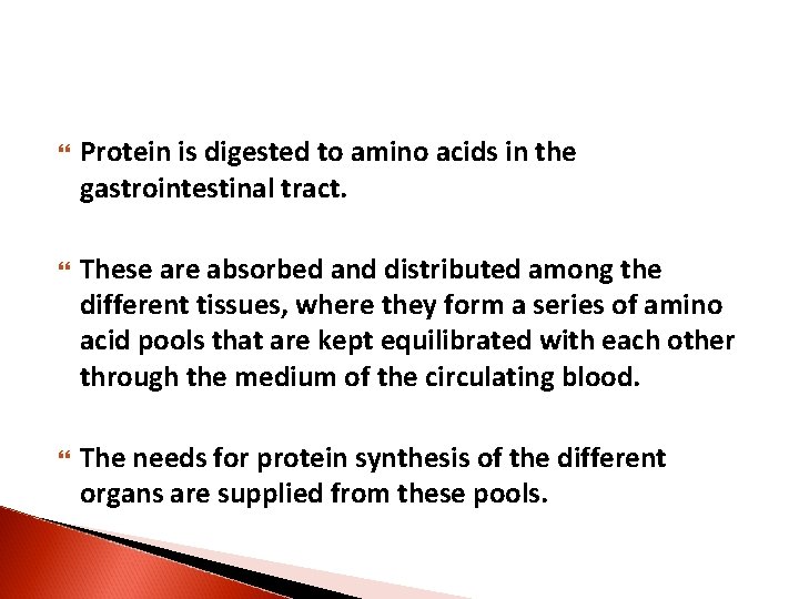  Protein is digested to amino acids in the gastrointestinal tract. These are absorbed