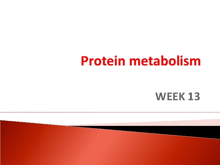 Protein metabolism WEEK 13 