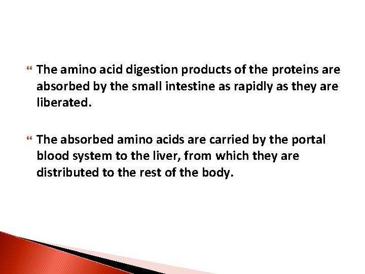  The amino acid digestion products of the proteins are absorbed by the small