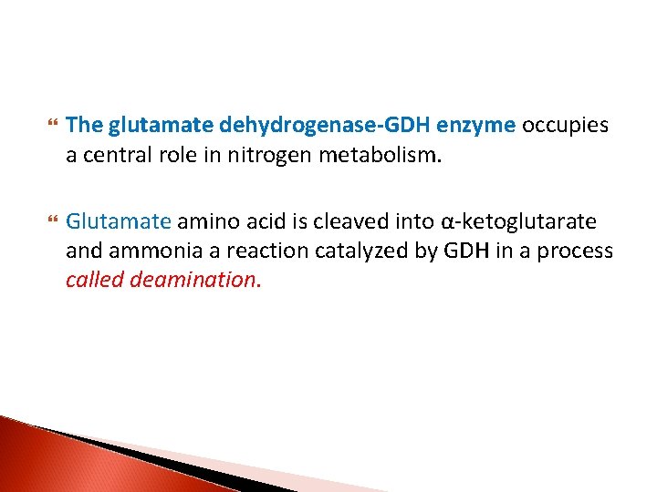  The glutamate dehydrogenase-GDH enzyme occupies a central role in nitrogen metabolism. Glutamate amino