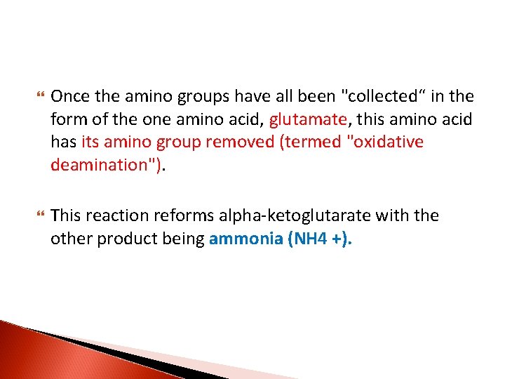  Once the amino groups have all been "collected“ in the form of the