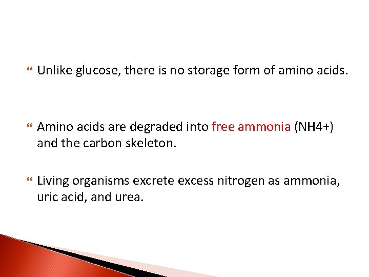  Unlike glucose, there is no storage form of amino acids. Amino acids are