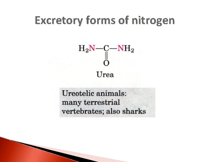 Excretory forms of nitrogen 