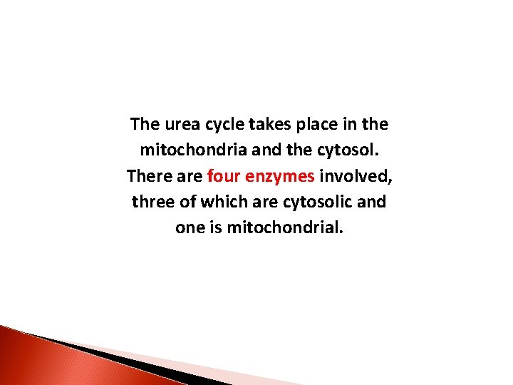 The urea cycle takes place in the mitochondria and the cytosol. There are four