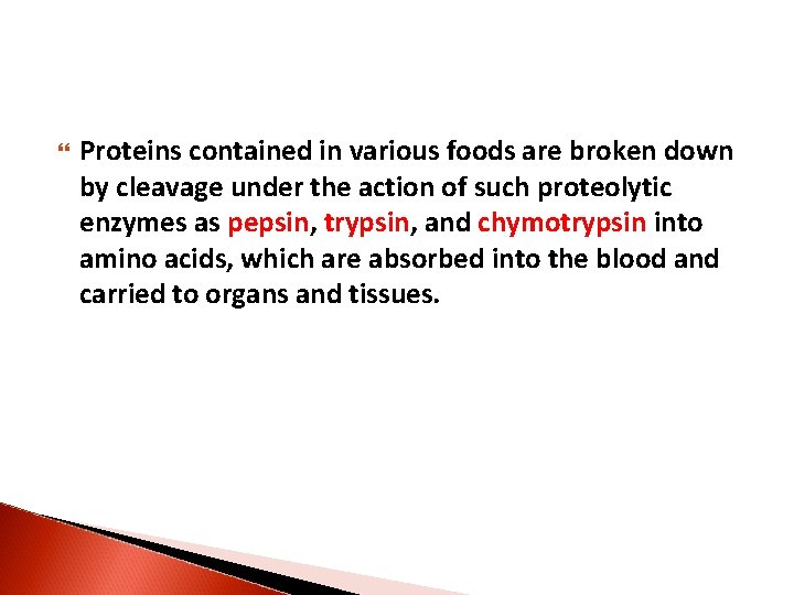  Proteins contained in various foods are broken down by cleavage under the action