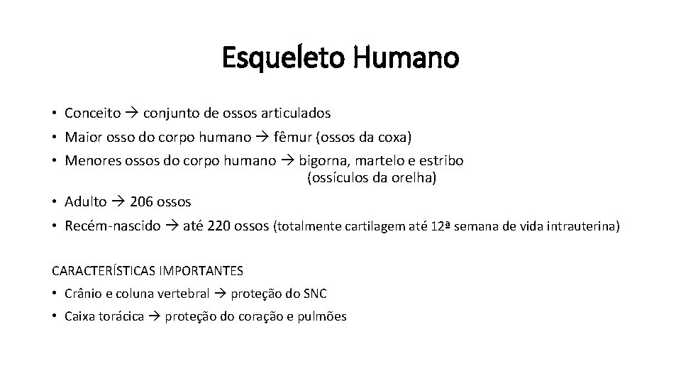 Esqueleto Humano • Conceito conjunto de ossos articulados • Maior osso do corpo humano