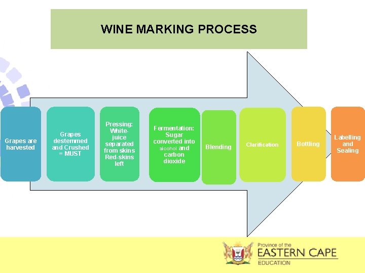 WINE MARKING PROCESS Grapes are harvested Grapes destemmed and Crushed = MUST Pressing: Whitejuice