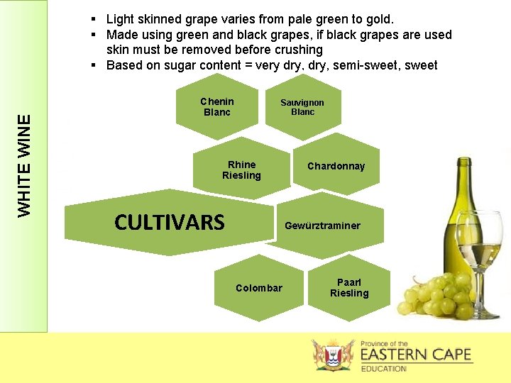 WHITE WINE § Light skinned grape varies from pale green to gold. § Made