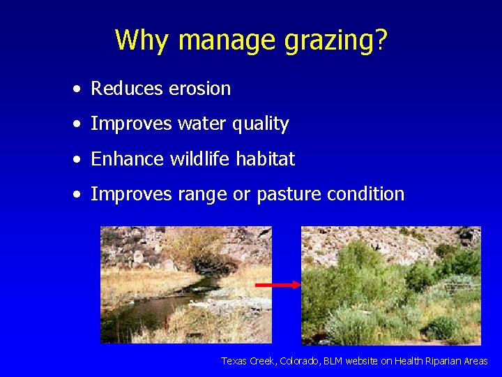 Why manage grazing? • Reduces erosion • Improves water quality • Enhance wildlife habitat