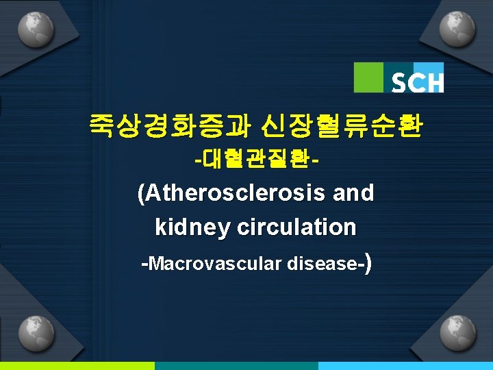 죽상경화증과 신장혈류순환 -대혈관질환- (Atherosclerosis and kidney circulation -Macrovascular disease-) 