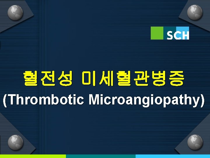 혈전성 미세혈관병증 (Thrombotic Microangiopathy) 