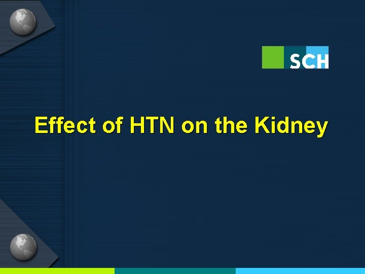 Effect of HTN on the Kidney 