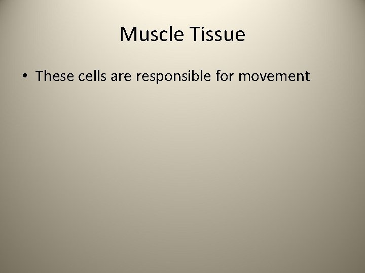 Muscle Tissue • These cells are responsible for movement 