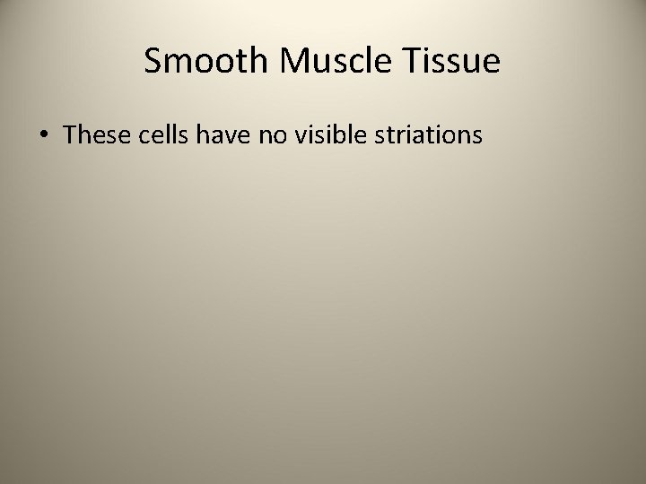 Smooth Muscle Tissue • These cells have no visible striations 