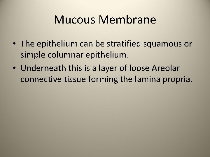 Mucous Membrane • The epithelium can be stratified squamous or simple columnar epithelium. •