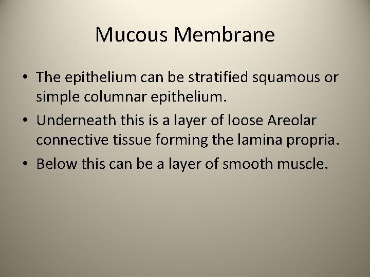 Mucous Membrane • The epithelium can be stratified squamous or simple columnar epithelium. •