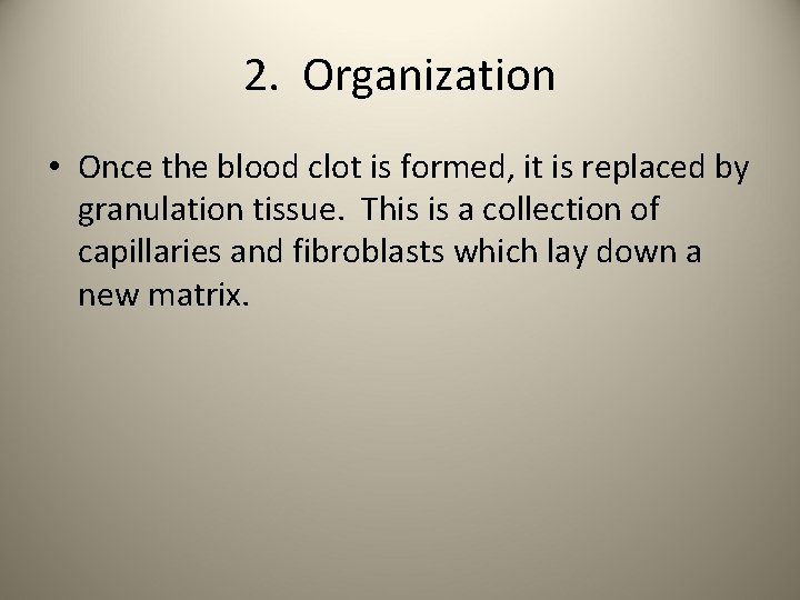 2. Organization • Once the blood clot is formed, it is replaced by granulation