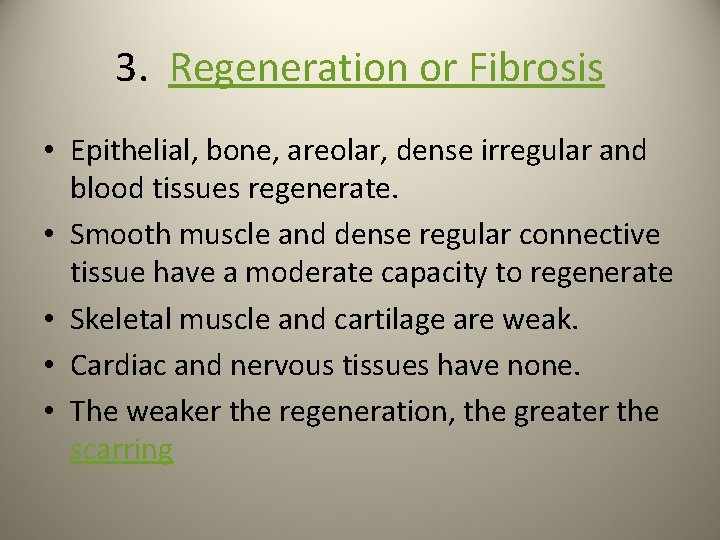 3. Regeneration or Fibrosis • Epithelial, bone, areolar, dense irregular and blood tissues regenerate.