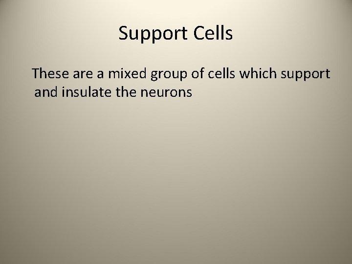 Support Cells These are a mixed group of cells which support and insulate the