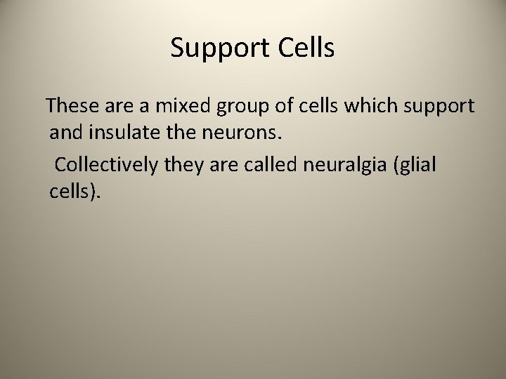 Support Cells These are a mixed group of cells which support and insulate the