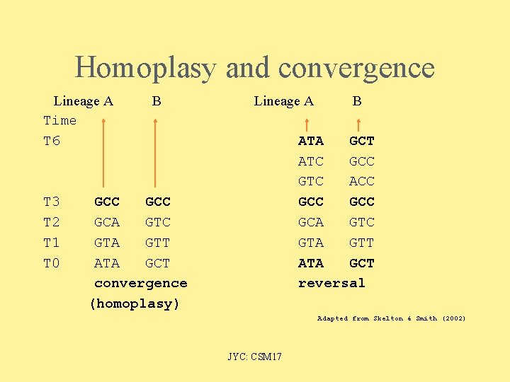 Homoplasy and convergence Lineage A Time T 6 T 3 T 2 T 1