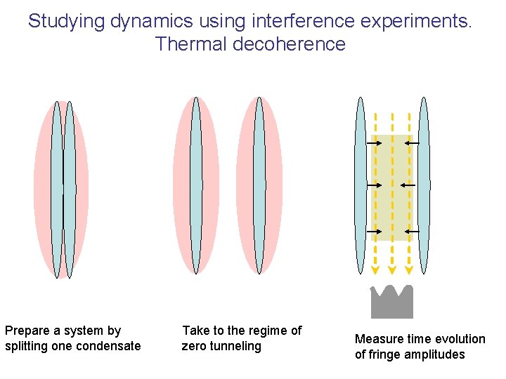 Studying dynamics using interference experiments. Thermal decoherence Prepare a system by splitting one condensate