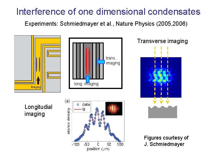 Interference of one dimensional condensates Experiments: Schmiedmayer et al. , Nature Physics (2005, 2006)