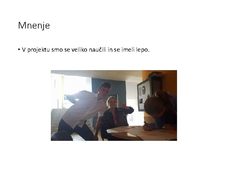 Mnenje • V projektu smo se veliko naučili in se imeli lepo. 