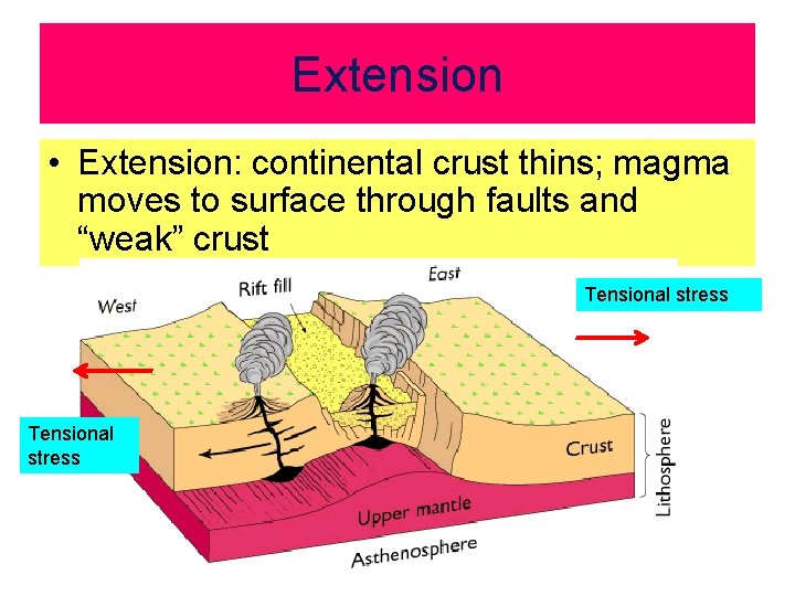 Extension • Extension: continental crust thins; magma moves to surface through faults and “weak”