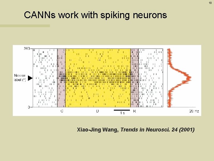 18 CANNs work with spiking neurons Xiao-Jing Wang, Trends in Neurosci. 24 (2001) 