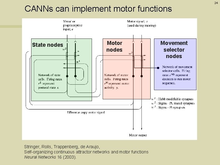 CANNs can implement motor functions State nodes Motor nodes Stringer, Rolls, Trappenberg, de Araujo,