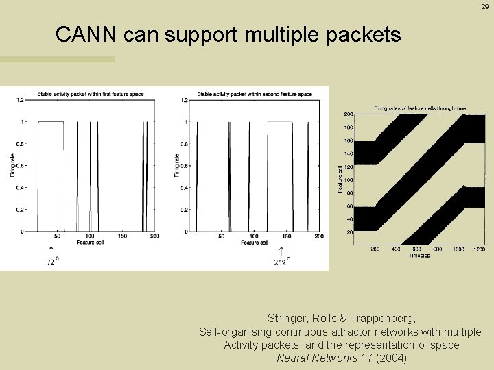 29 CANN can support multiple packets Stringer, Rolls & Trappenberg, Self-organising continuous attractor networks