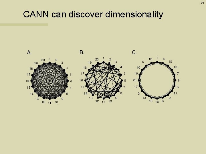 34 CANN can discover dimensionality 