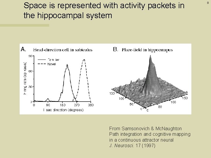 Space is represented with activity packets in the hippocampal system From Samsonovich & Mc.