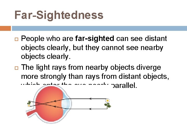 Far-Sightedness People who are far-sighted can see distant objects clearly, but they cannot see
