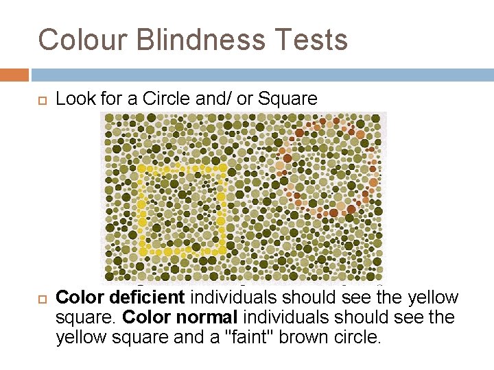 Colour Blindness Tests Look for a Circle and/ or Square Color deficient individuals should