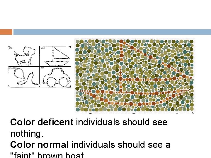 Color deficent individuals should see nothing. Color normal individuals should see a 