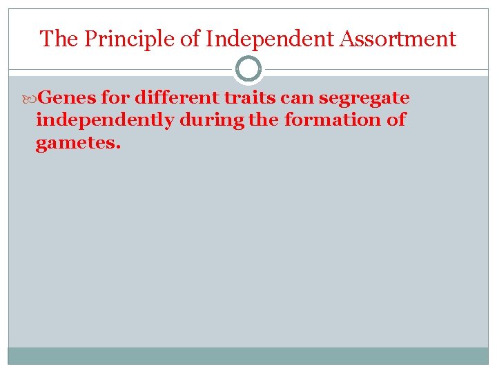 The Principle of Independent Assortment Genes for different traits can segregate independently during the
