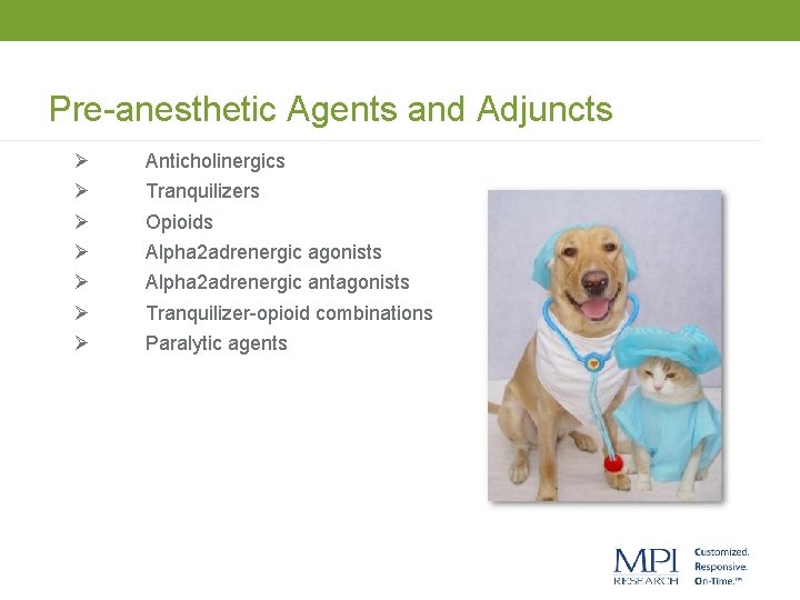 Pre-anesthetic Agents and Adjuncts Ø Ø Ø Ø Anticholinergics Tranquilizers Opioids Alpha 2 adrenergic