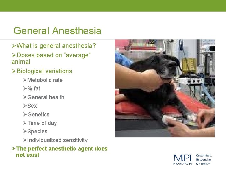 General Anesthesia ØWhat is general anesthesia? ØDoses based on “average” animal ØBiological variations ØMetabolic