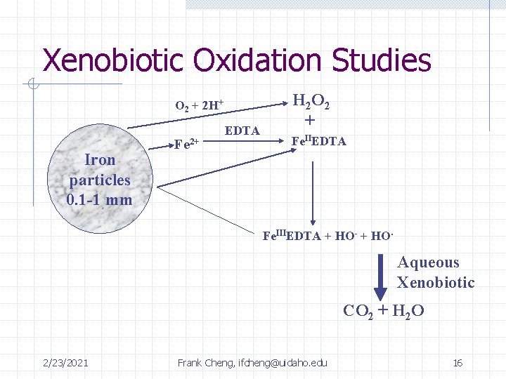 Xenobiotic Oxidation Studies O 2 + 2 H+ Iron particles 0. 1 -1 mm