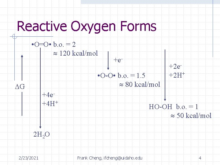 Reactive Oxygen Forms • O=O • b. o. = 2 120 kcal/mol +e- •