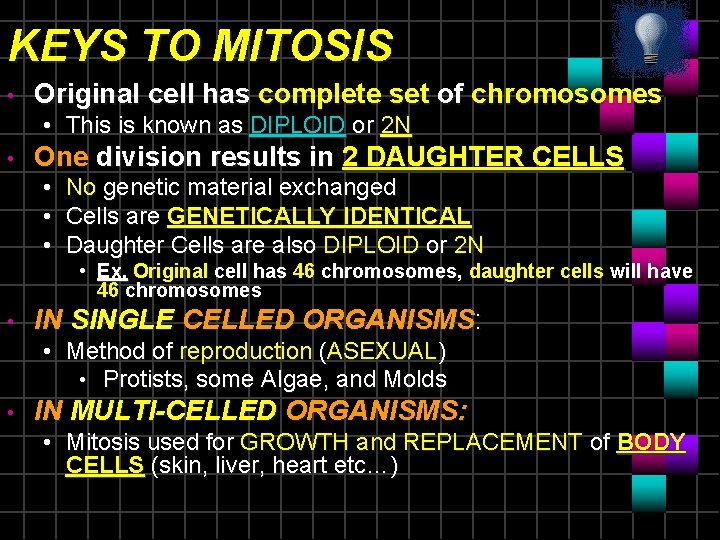 KEYS TO MITOSIS • Original cell has complete set of chromosomes • This is KEYS TO MITOSIS • Original cell has complete set of chromosomes • This is