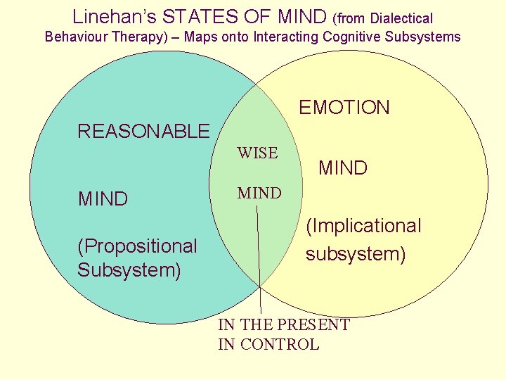 Linehan’s STATES OF MIND (from Dialectical Behaviour Therapy) – Maps onto Interacting Cognitive Subsystems