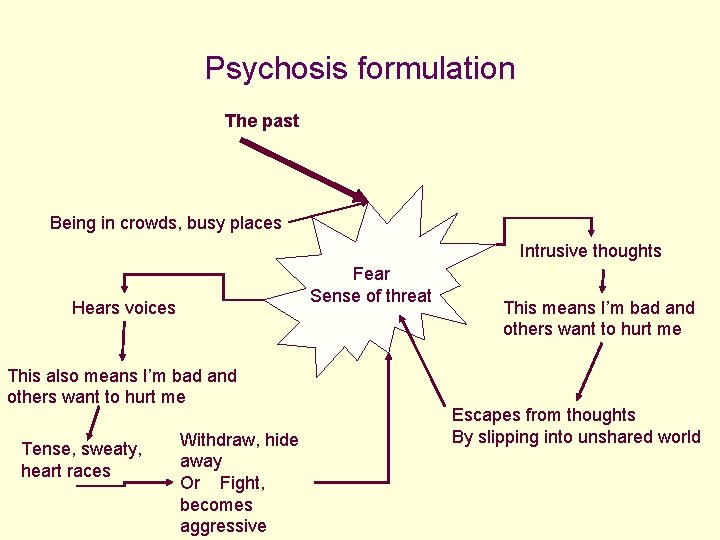 Psychosis formulation The past Being in crowds, busy places Intrusive thoughts Fear Sense of