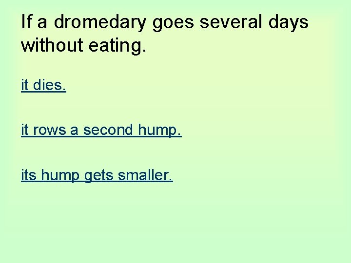 If a dromedary goes several days without eating. it dies. it rows a second
