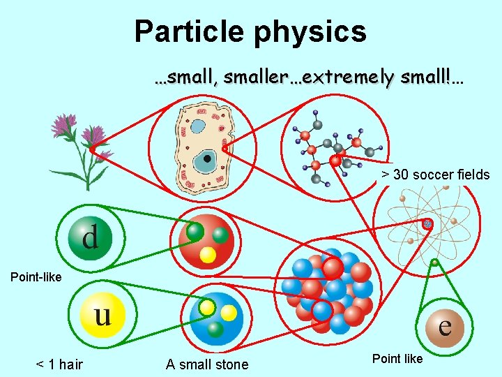 Particle physics …small, smaller…extremely small!… small! > 30 soccer fields Point-like < 1 hair