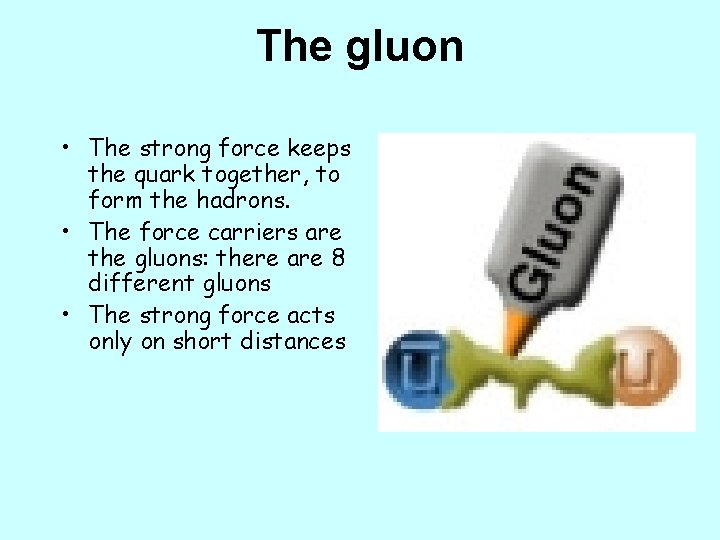 The gluon • The strong force keeps the quark together, to form the hadrons.