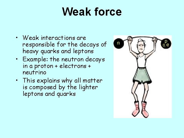 Weak force • Weak interactions are responsible for the decays of heavy quarks and